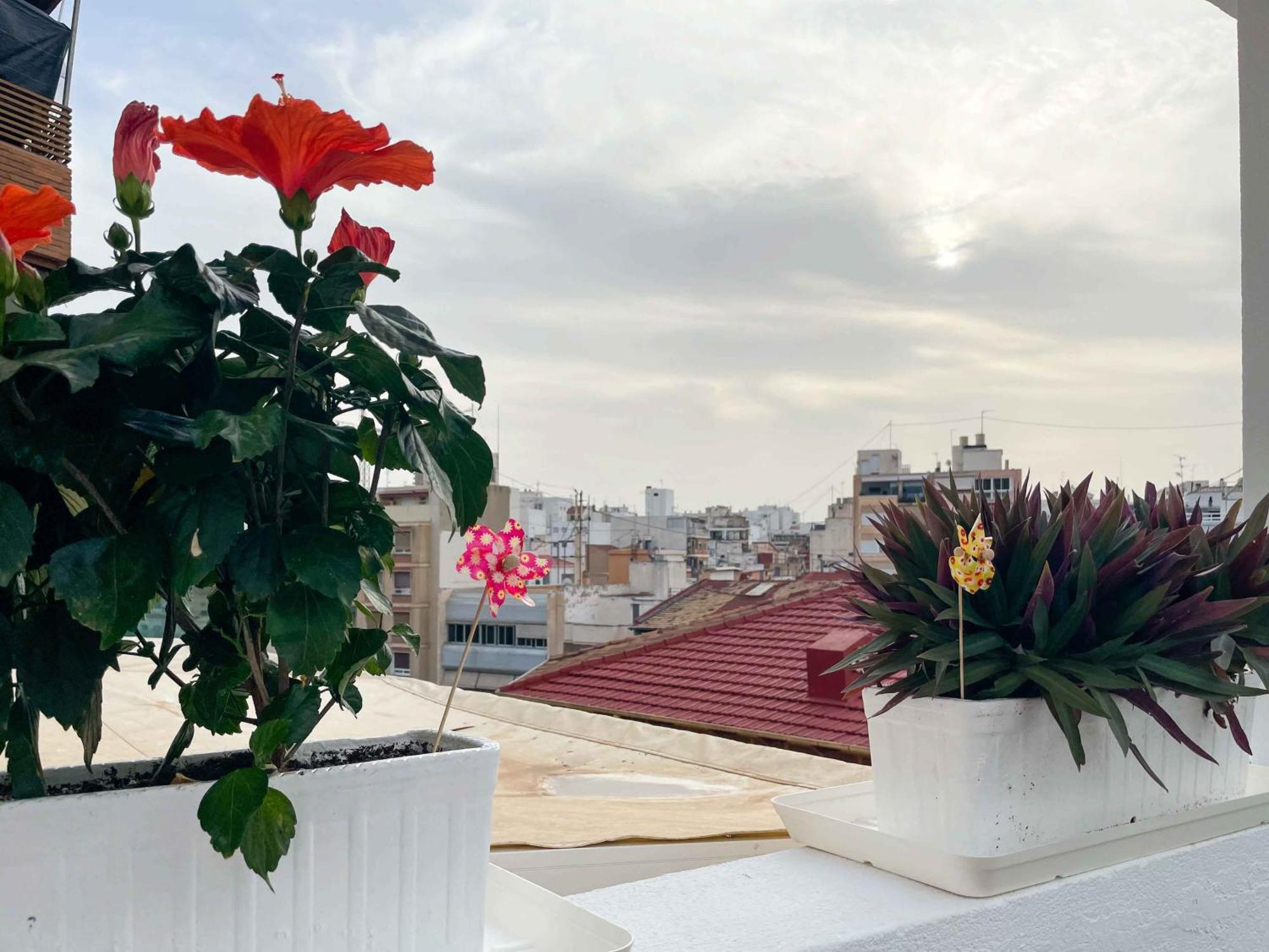 El ático del mercado. Un lugar difícil de olvidar. Alicante Exterior foto
